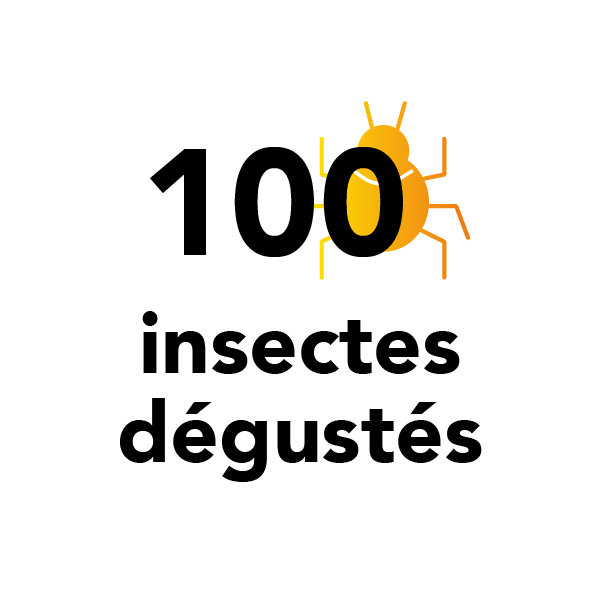 100 insectes dégustés