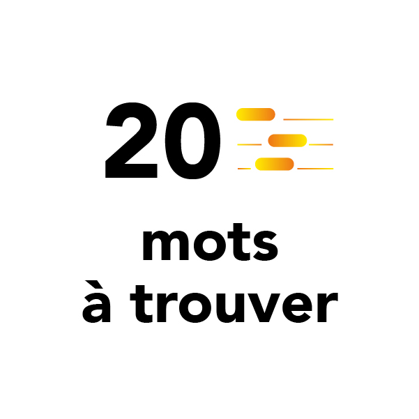 20_mots 20 mots à trouver