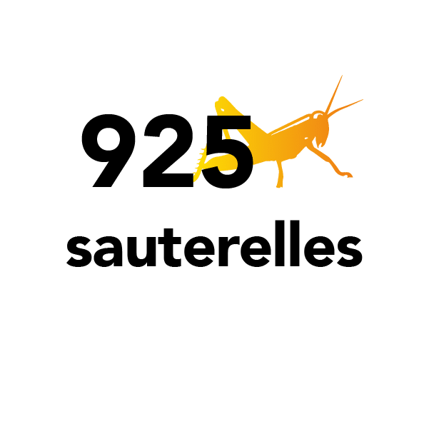 925 sauterelles