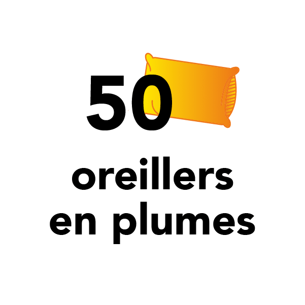 50 oreillers en plumes