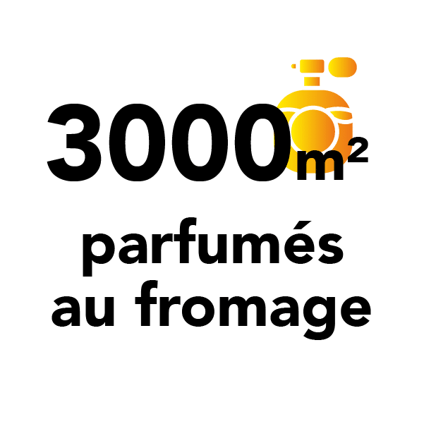 3000 m² parfumés au fromage