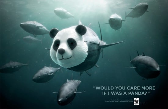 WWF campagne sensibilisation
