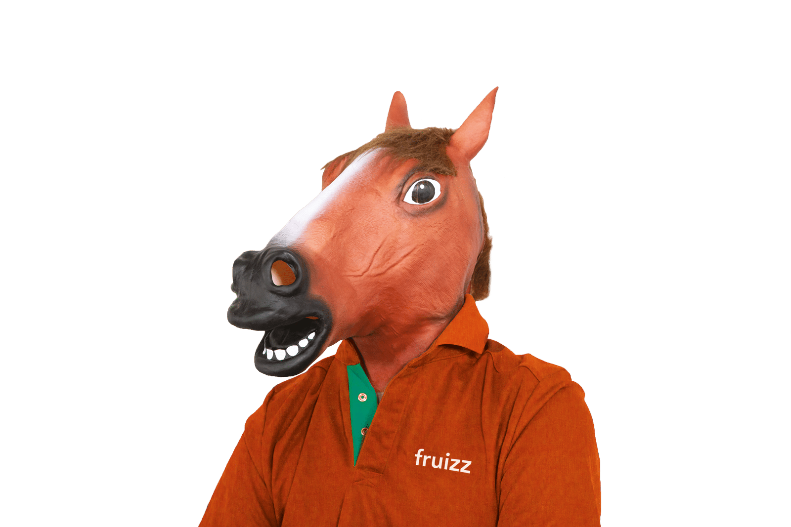 masque cheval fruizz 2