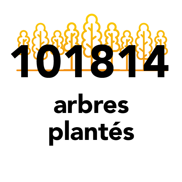 101 814 arbres plantés
