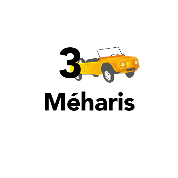 3 méharis