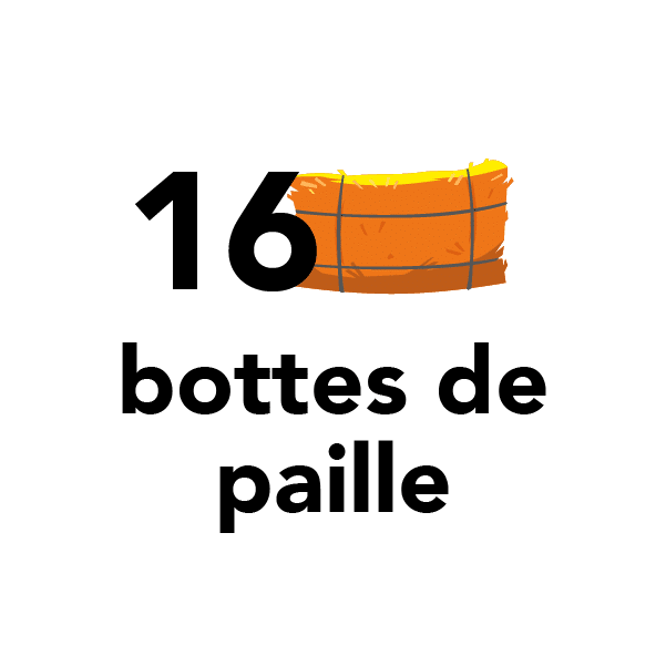 16 bottes de paille