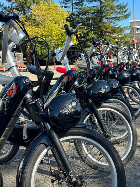 Séminaire Solewa - Animation solex