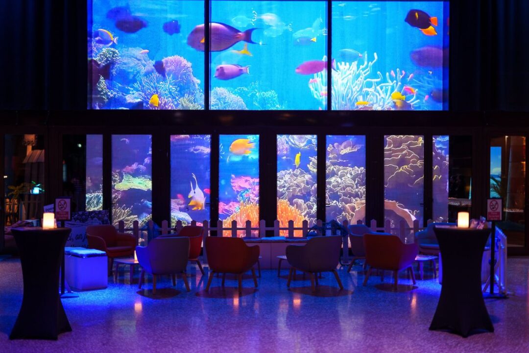 Voeux 2026 : larguez les amarres !