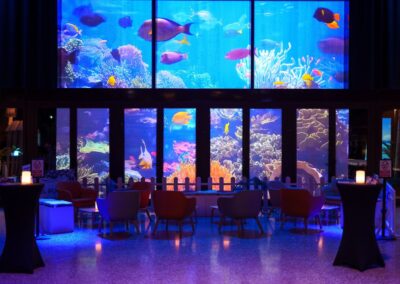 Voeux 2026 : larguez les amarres !