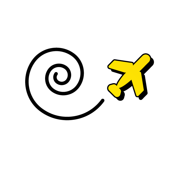 avion avion